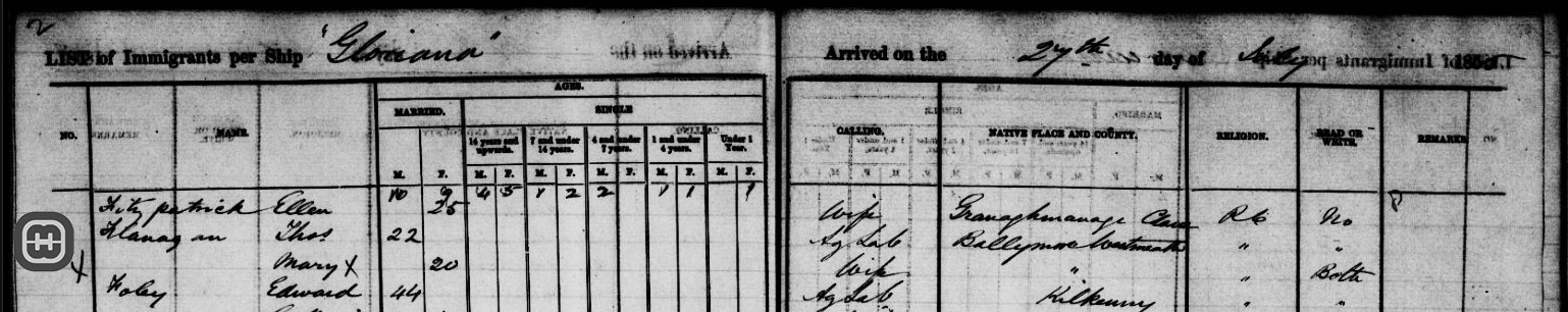 Extract from ship Gloriana immigrants records