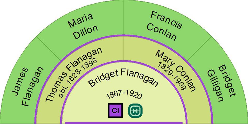 Bridget Flanagan Half Ancestor Fan Chart