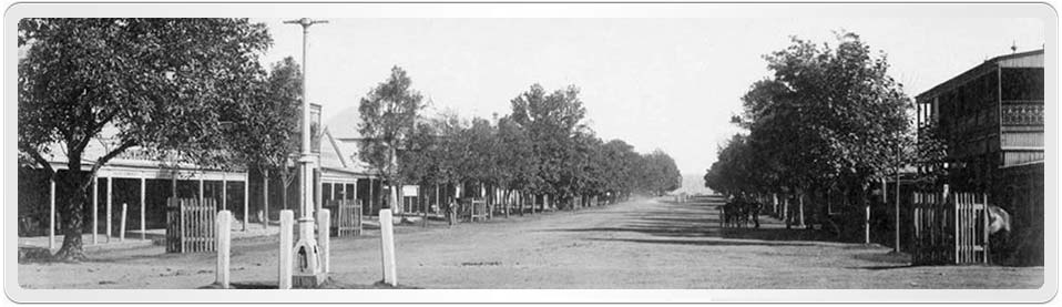 WebPage Header showing Prince Street Grafton Early Photograph