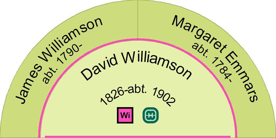Half fan chart showing the ancestors of David Williamson.