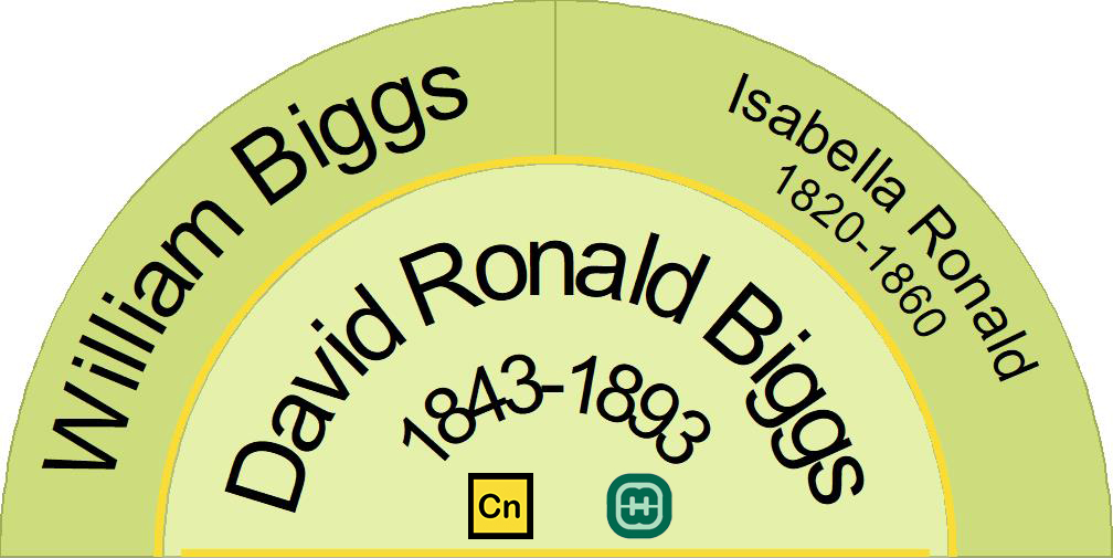 Half fan chart showing the ancestors (parents) of David Ronald Biggs
