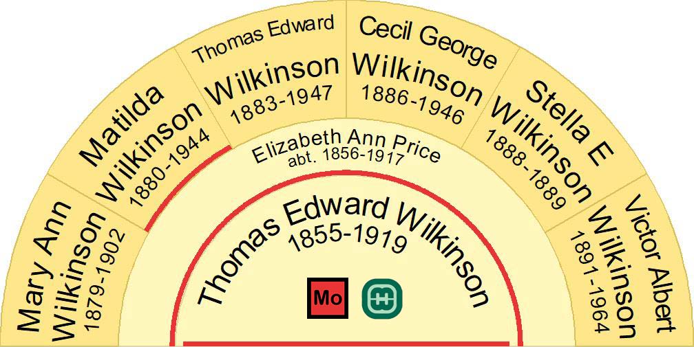 Half fan chart image showing the children of Thomas Edward Wilkinson & Elizabeth Ann Price